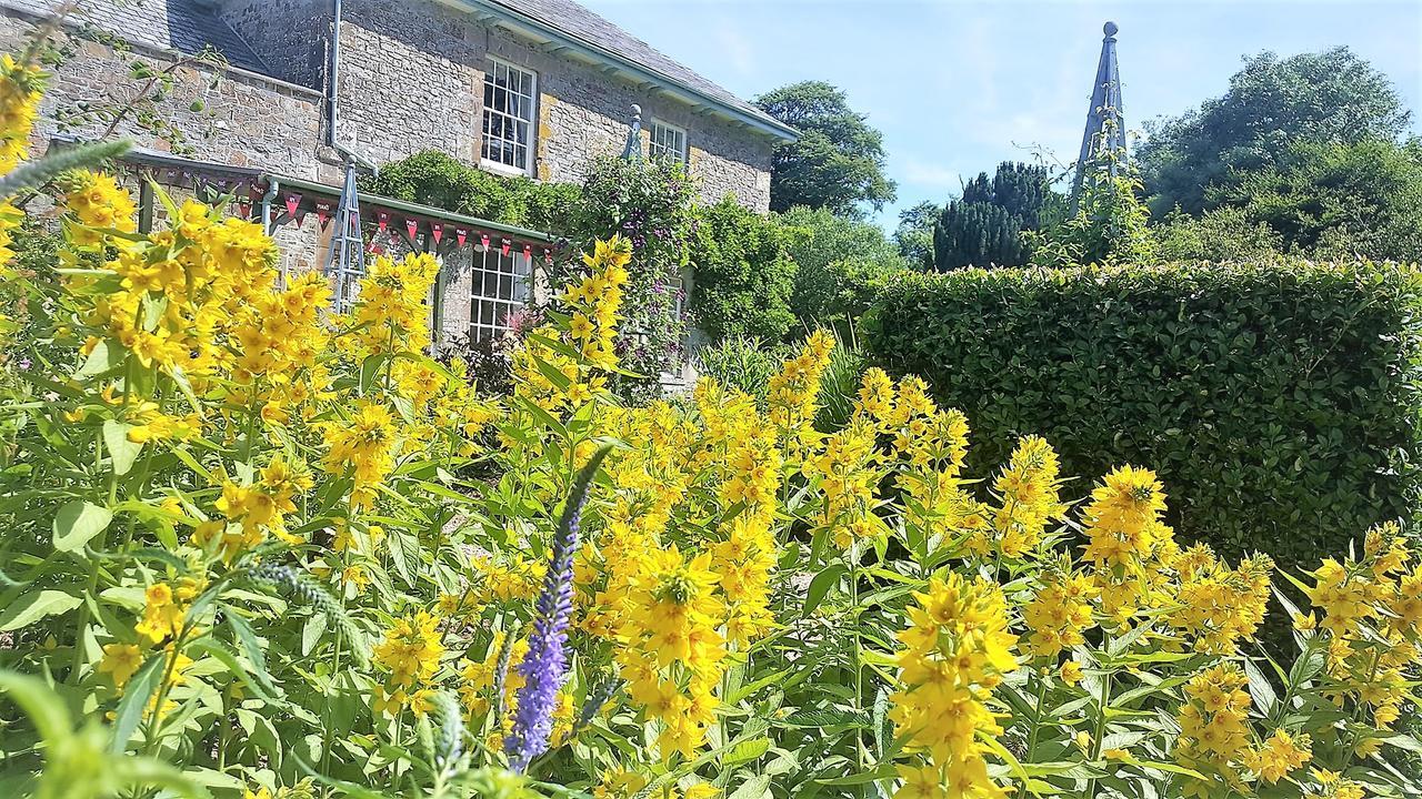 Glebe House Cottages Bude Esterno foto